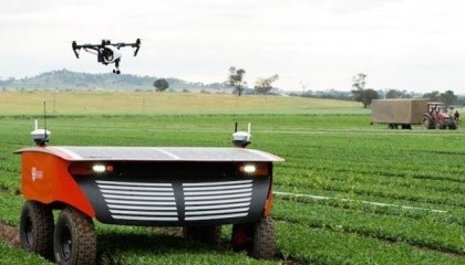 RIIPA - робот, який може оцінити врожайність посівів