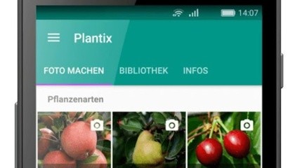 Приложение Plantix, разработанное одним из ганноверский стартапов, помогает фермерам различать вредных насекомых и болезни растений