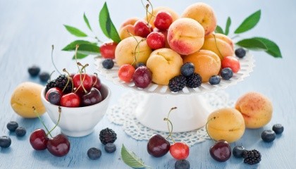 Из-за заморозков  в среднем снижение урожая  вишен, черешен и абрикос в Украине будет колебаться от 15 -25%