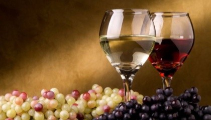 В Украине есть географически-почвенные условия для увеличения площадей под виноград до 300 тыс. га
