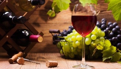 Виноробство – це дуже дороге задоволення, тому за відсутності державної підтримки його розвиток неможливий
