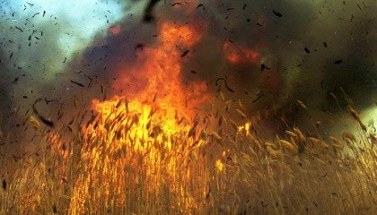 Ежегодно в Украине значительное количество гектаров зерновых уничтожают пожары, причинами возникновения которых является неосторожное обращение с огнем, нарушение правил эксплуатации машин и агрегатов, неисправность зерноуборочной техники, поджоги, а также выжигание стерни