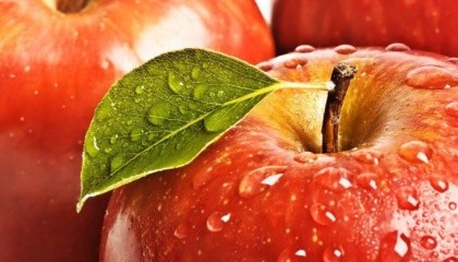 У 2016 році садівники Вінницької області зібрали 310 тис. т яблук, що дозволило регіону утримати за собою лідерство за обсягами виробництва цих фруктів в країні.