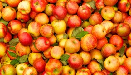 Яблука в Україні продовжать дорожчати на 10-15% через те, що товар вже починає закінчуватися. При цьому, імпортні яблука будуть додавати в ціні в середньому 5-10% на місяць, українські - щомісяця на 10-15%