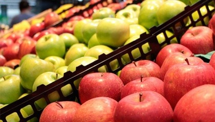 Голден Делишес, Гала, Айдаред, Ред Делишес, Дожнаголд, Джонагоред, Чемпион - наиболее популярные сорта яблок в 2016 году в Европе