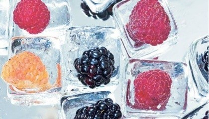 В ближайшие 5-6 лет украинские замороженные ягоды и фрукты займут такую ​​же долю на международном рынке, которую Украина занимает сейчас в продажах зерна