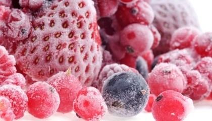 На предприятии «Ривнехолод» планируют запустить технологию замораживания ягод. А дальше - экспортировать ее на европейские рынки. Продукцию планируется закупать у местных жителей
