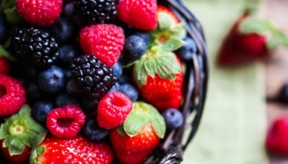 Объем производства ягод в странах ЕС и странах — крупнейших поставщиках рынка Европы ежегодно растет в среднем на 6,2% за последнюю пятилетку