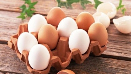 Украина за январь-сентябрь 2017 года экспортировала 62,44 тыс. т яиц на сумму $43,57 млн, что практически на 20% больше, чем за весь 2016 год