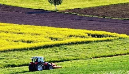 Введение рынка земли в Украине сможет сломать сырьевую модель украинской экономики и стимулировать внутреннюю переработку