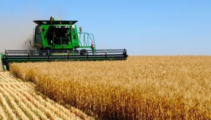 Отдельные исследовательские хозяйства системы НААН продемонстрировали в прошлом году урожайность зерновых культур, которая более чем в 1,5-2 раза превышала средние показатели