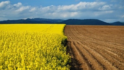 Українці можуть купити землю у США, Великій Британії, Іспанії, Німеччині, Австрії, але не може це зробити у себе на Батьківщині