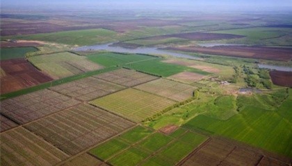 Право на купівлю ділянок можуть отримати невеликі господарства, які протягом останніх 5 років обробляли землі і працювали в агросфері