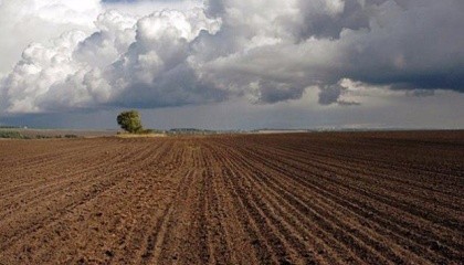 Законопроект об обороте сельскохозяйственной земли, принятие которого позволило бы запустить земельный рынок в Украине, пока не вносится на рассмотрение парламента из-за отсутствия в ВРУ надлежащей поддержки документа
