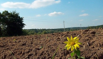 Законопроект №5535 предлагает запретить юрлицу иметь в собственности более 33% сельскохозяйственных земель района. Но действенным предохранителем эта норма быть не может