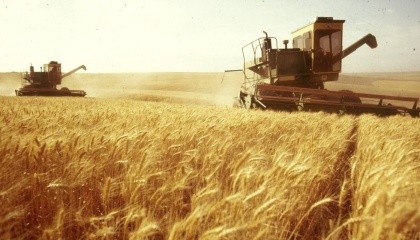 Степова частина України, на яку припадає велика частина збору зернових, визнана зоною ризикованого землеробства