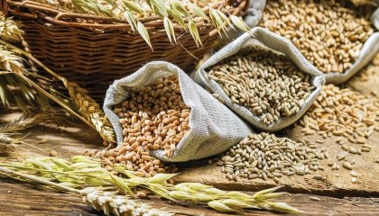 Из-за невозможности качественно смешивать зерно на грузовых судах цена на продовольственную пшеницу из Украины была намного ниже, чем цена на такую ​​же пшеницу из России