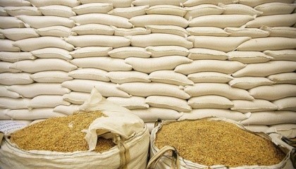 Прогнозируемый сбор зерна - 64 млн т, из них 42 млн т будет экспортировано