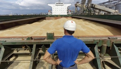 Найбільше зернових Україна експортує до трьох країн. Топ-напрямки за 2016-2017 рік - це Єгипет, Іспанія та Індія