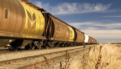 Вагоны для железнодорожных перевозок своих грузов аграрии готовы строить самостоятельно, но при условии предоставления 30% скидки на тариф