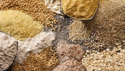 Основними споживачами українського насіння стали Азербайджан, Білорусь, Молдова, Грузія, а також країни ЄС - Австрія, Литва і Румунія