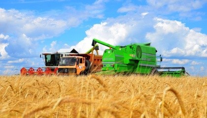 В южных регионах Украины началась жатва