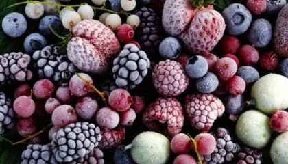 Фермеры из ВЛТ «Флора», которые получить сертификат на органическую ягоду, собрали по 10 т замороженной малины и клубники для экспорта