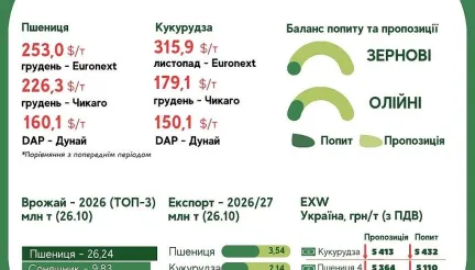 Тренди на ринку зернових та олійних з 20 по 26 жовтня