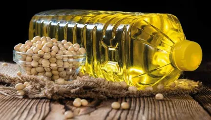 Логістика дорожчає: аграрії переходять на олійні культури
