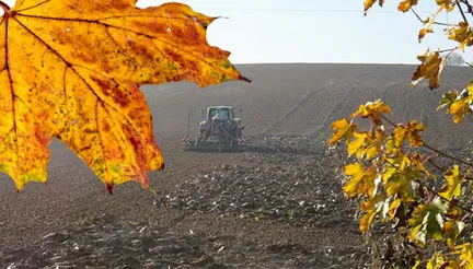 В Україні виконано понад 70% плану осінньої посівної озимих культур