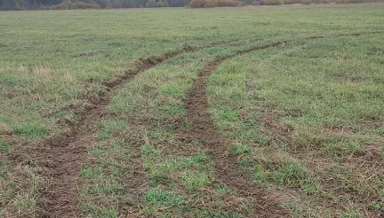На Волині дрифтери пошкодили посіви озимого жита