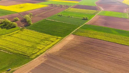 Вартість сільгоспземлі в Україні зросла на 26%