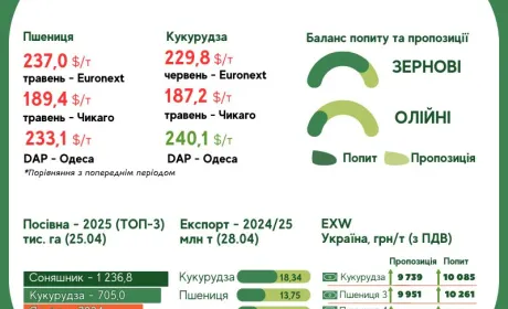 Тренди на ринку зернових та олійних з 21 по 28 квітня