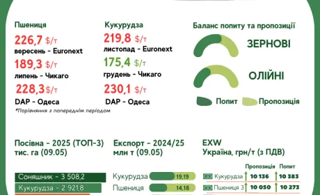 Тренди на ринку зернових та олійних культур з 5 по 12 травня