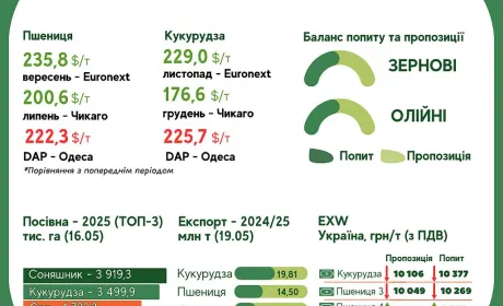Тренди на ринку зернових та олійних з 13 по 20 травня