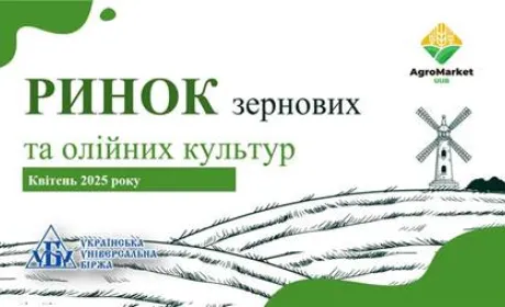 Підсумки квітня на ринку зернових та олійних