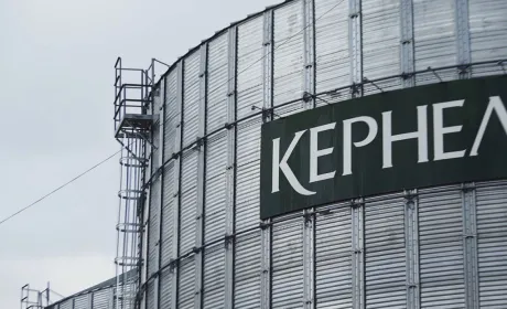 Kernel тримає удар: як команда забезпечує стійкість агробізнесу