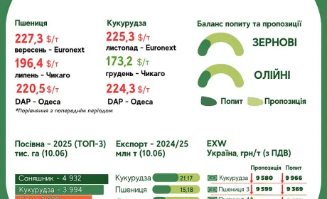 Тренди на ринку зернових та олійних з 3 по 10 червня