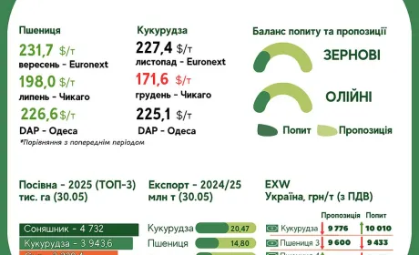 Тренди на ринку зернових та олійних з 27 травня по 2 червня
