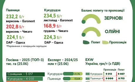 Тренди на ринку зернових та олійних культур з 17 по 24 червня