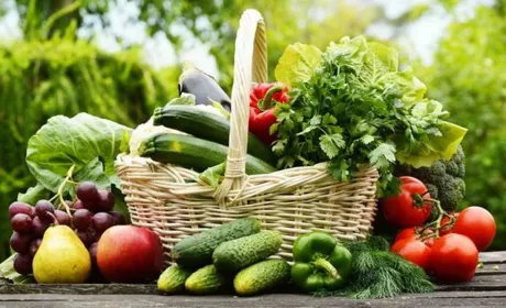 Овочівництво на Львівщині: комерційні площі складають всього 4%