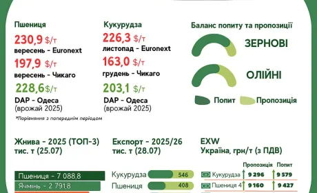 Тренди на ринку зернових та олійних з 22 по 28 липня