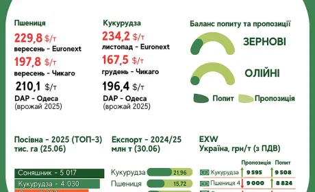 Тренди на ринку зернових та олійних з 24 по 30 червня