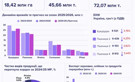 Підсумки червня на ринку зернових та олійних