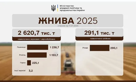 Жнива 2025: наближаємось до 1 млн га
