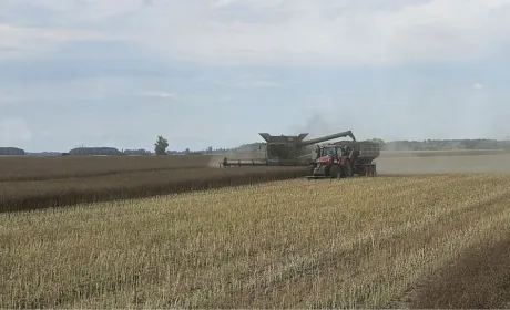 В Агро-Регіон завершили жнива озимих культур з найвищим показником середньої врожайності