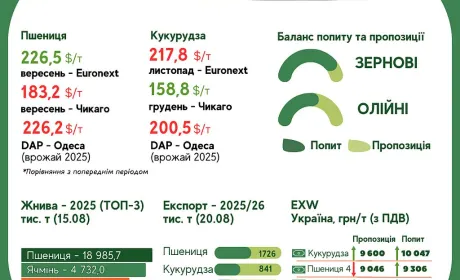 Тренди на ринку зернових та олійних з 13 по 19 серпня