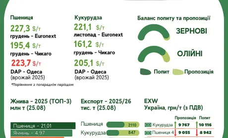 Тренди на ринку зернових та олійних з 13 по 26 серпня