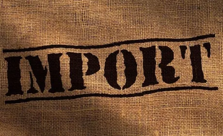 Збільшення імпорту агропродукції в Україну: найбільші постачальники та основні категорії товарів
