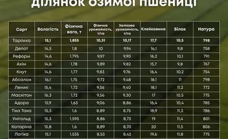 Волинь: ГК «Вілія» підбила підсумки демо-обмолоту пшениці